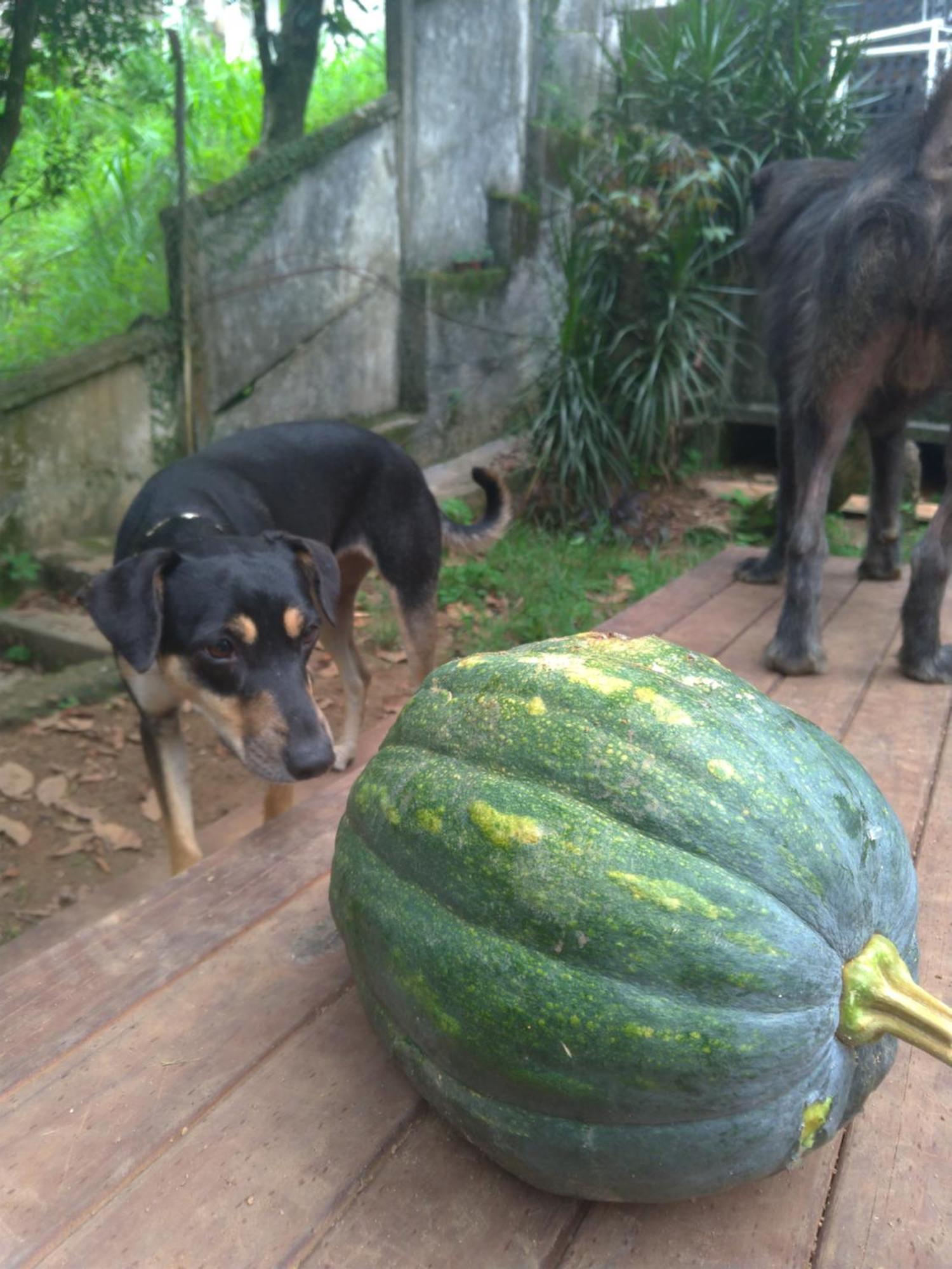 Rio National Park H&C Bed & Breakfast Rio de Janeiro Ngoại thất bức ảnh